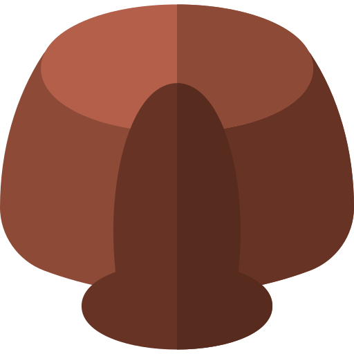 Cacao en Polvo